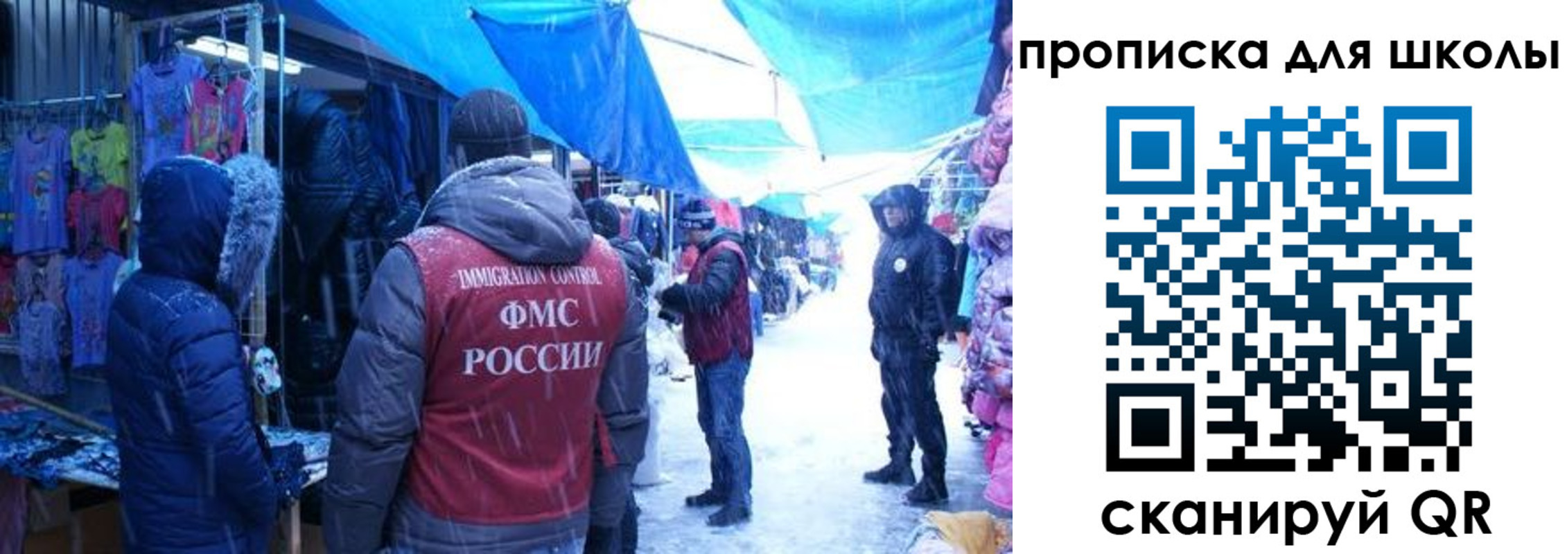 прописка гарантия в Вольске